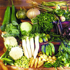 Vegetable.jpg