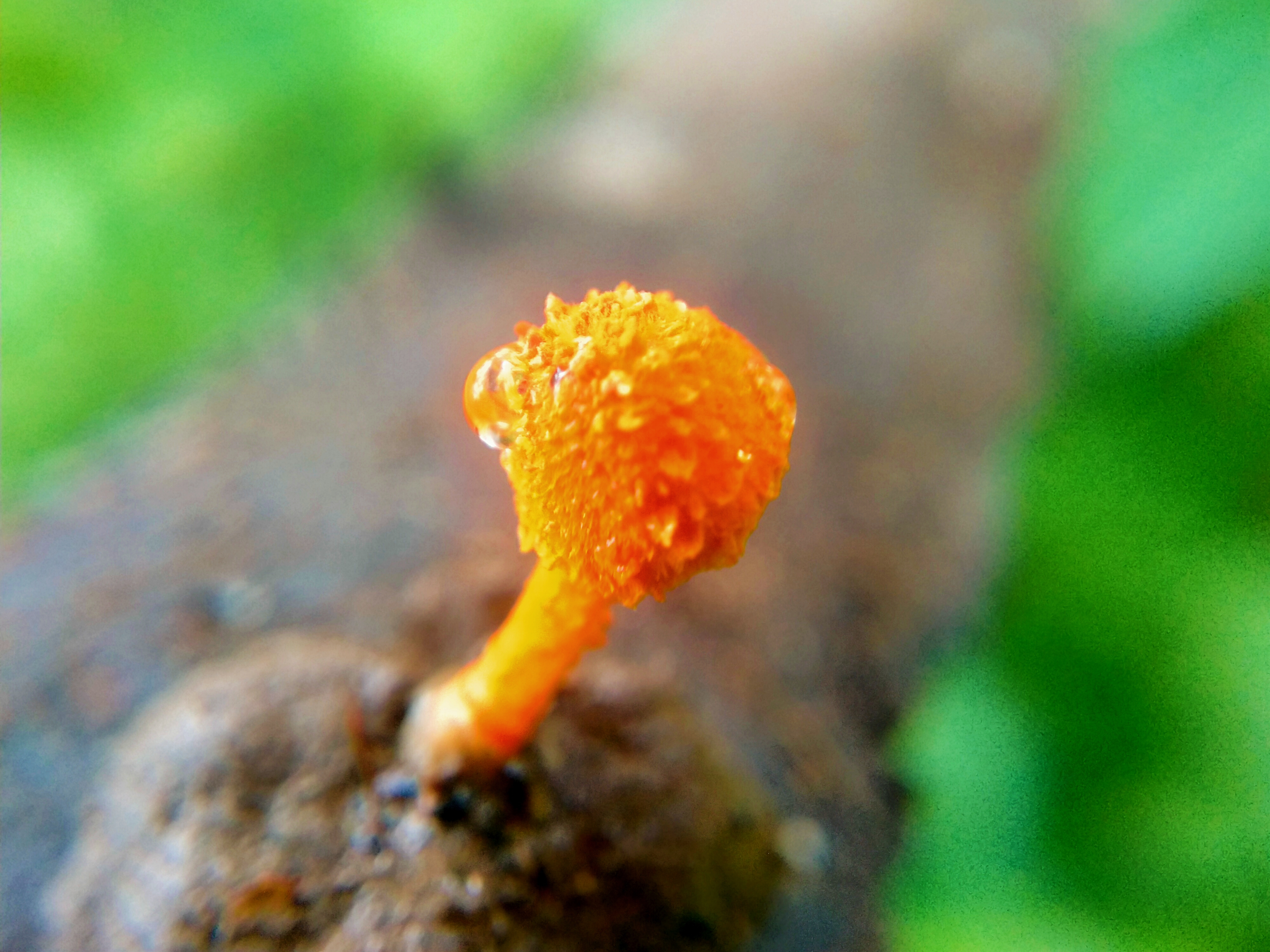 IMG_20220109_201445.jpg