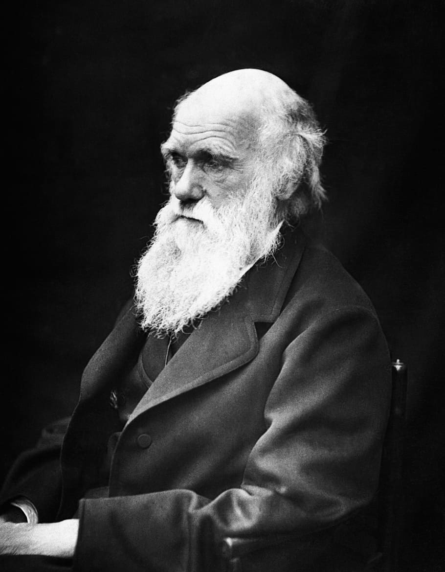 charles-robert-darwin-scientists-naturalist-theory-of-evolution.jpg