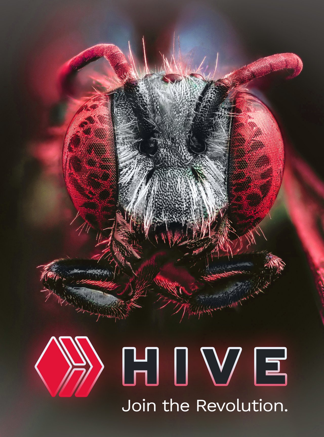 7 journey hive