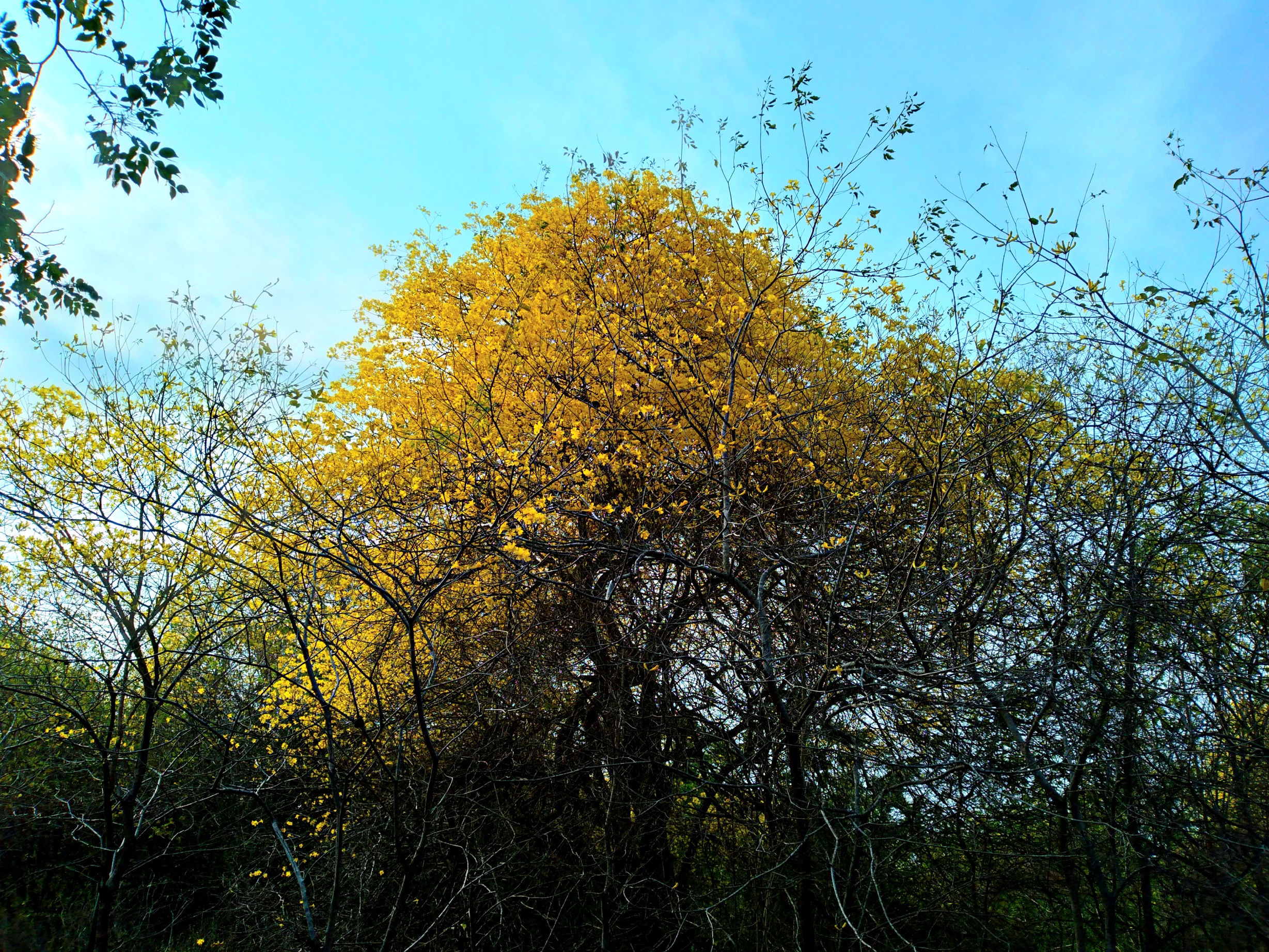 20250321_090926.jpg