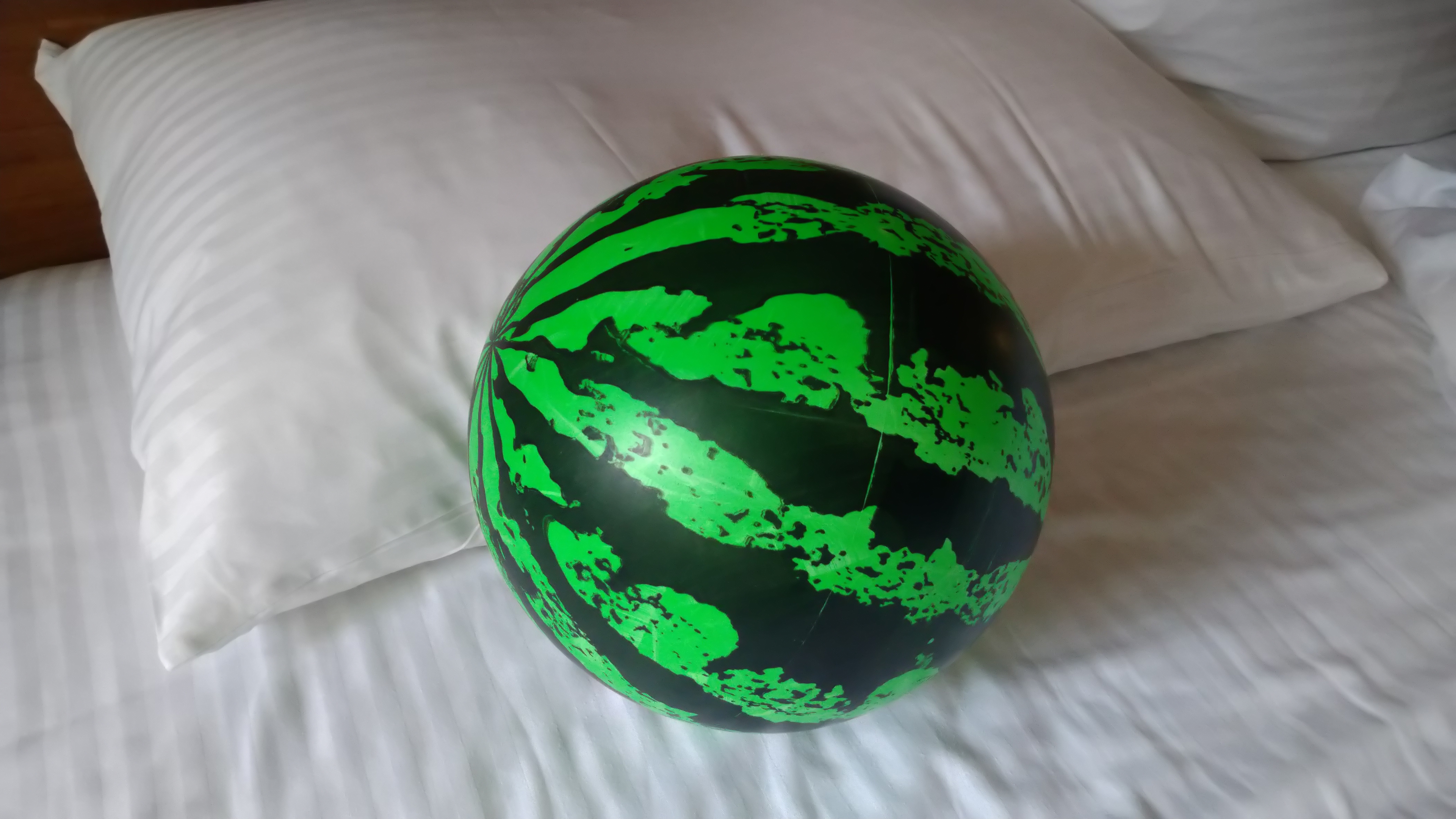 DSC_8339.JPG