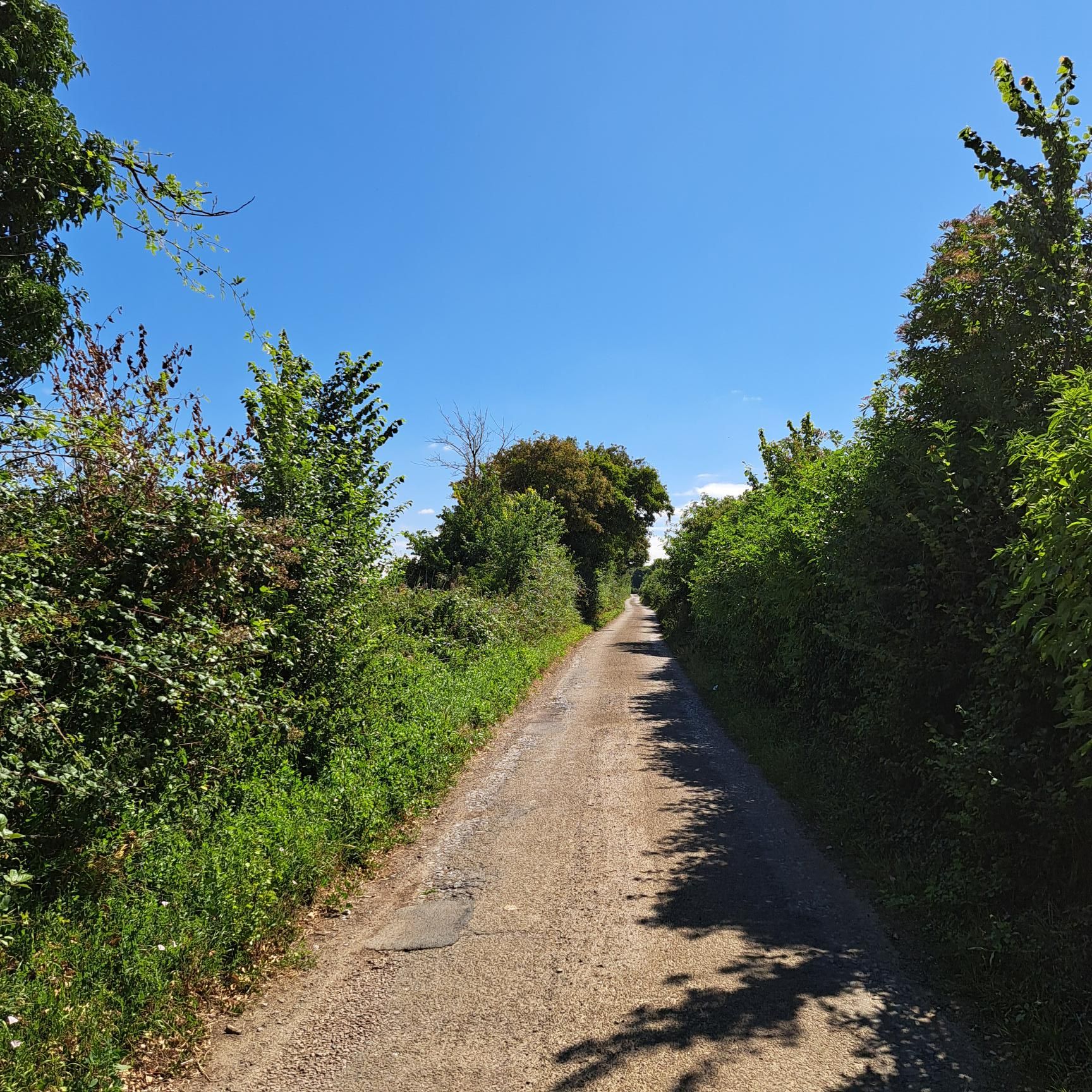 footer_image_15055305410.png