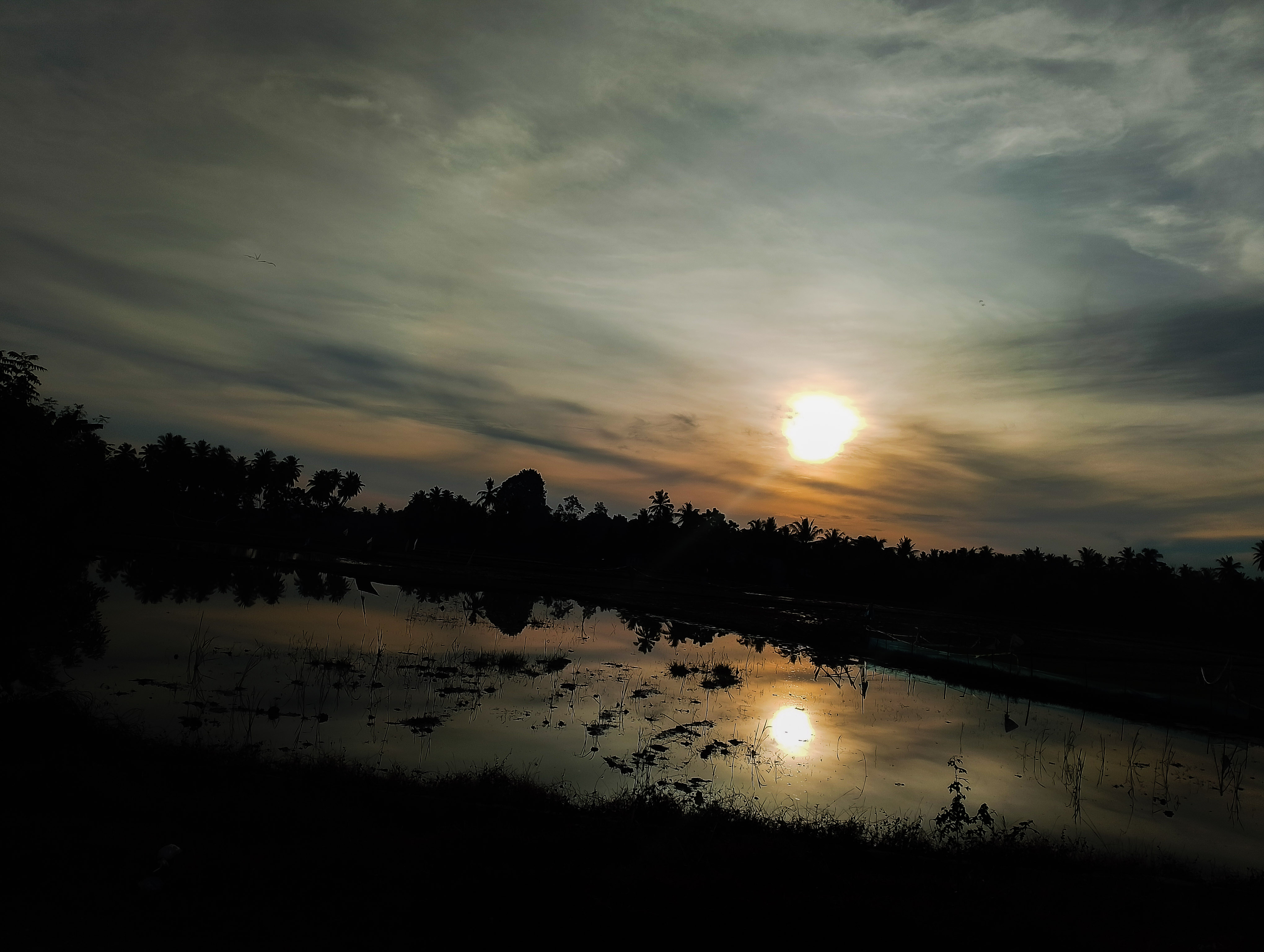 PSX_20250801_180043.jpg