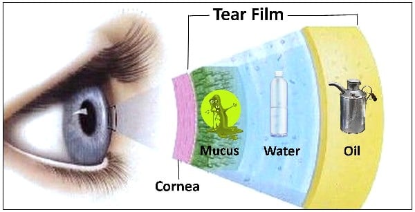 Tear-film-layers.jpg