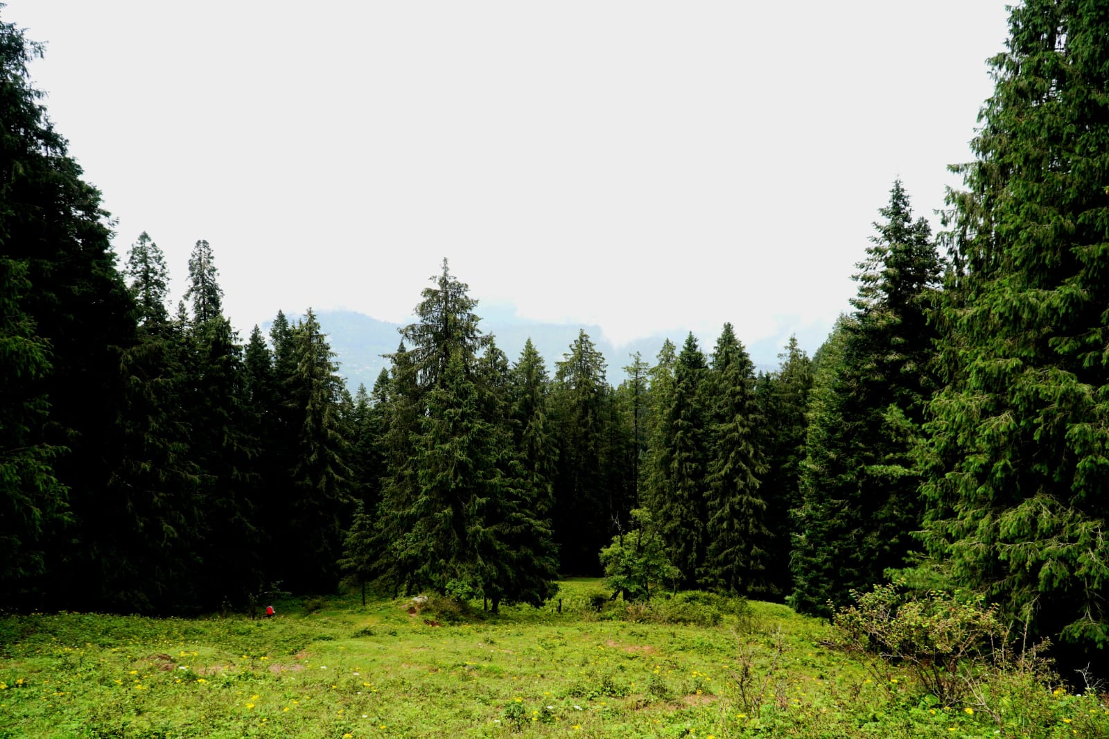IMG-20250821-WA0046.jpg
