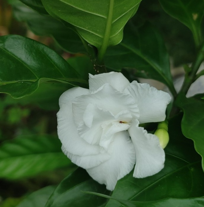 IMG_20250531_165759.jpg