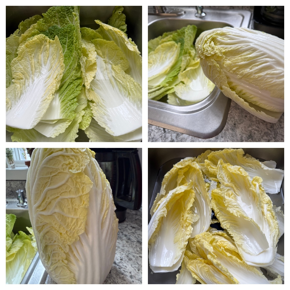 hivegarden-cabbage-kimchi-.jpg