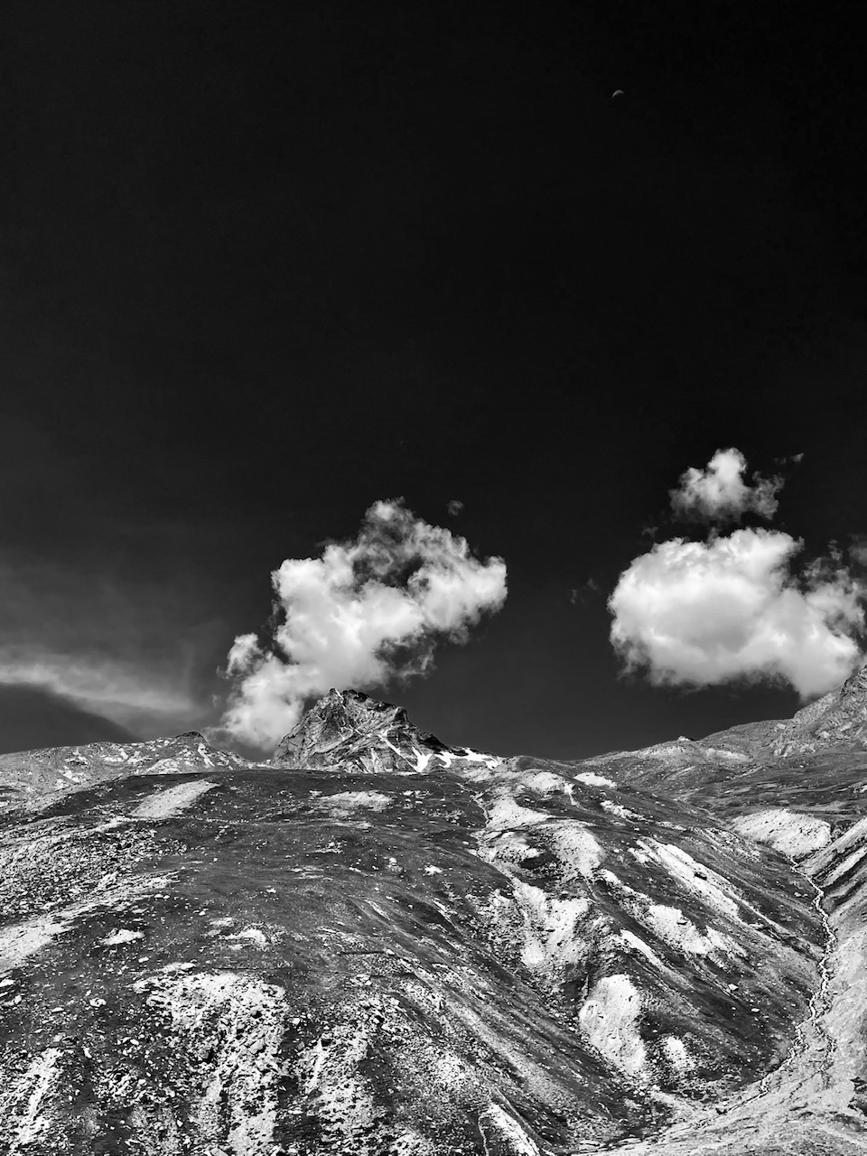 IMG_6986.jpeg