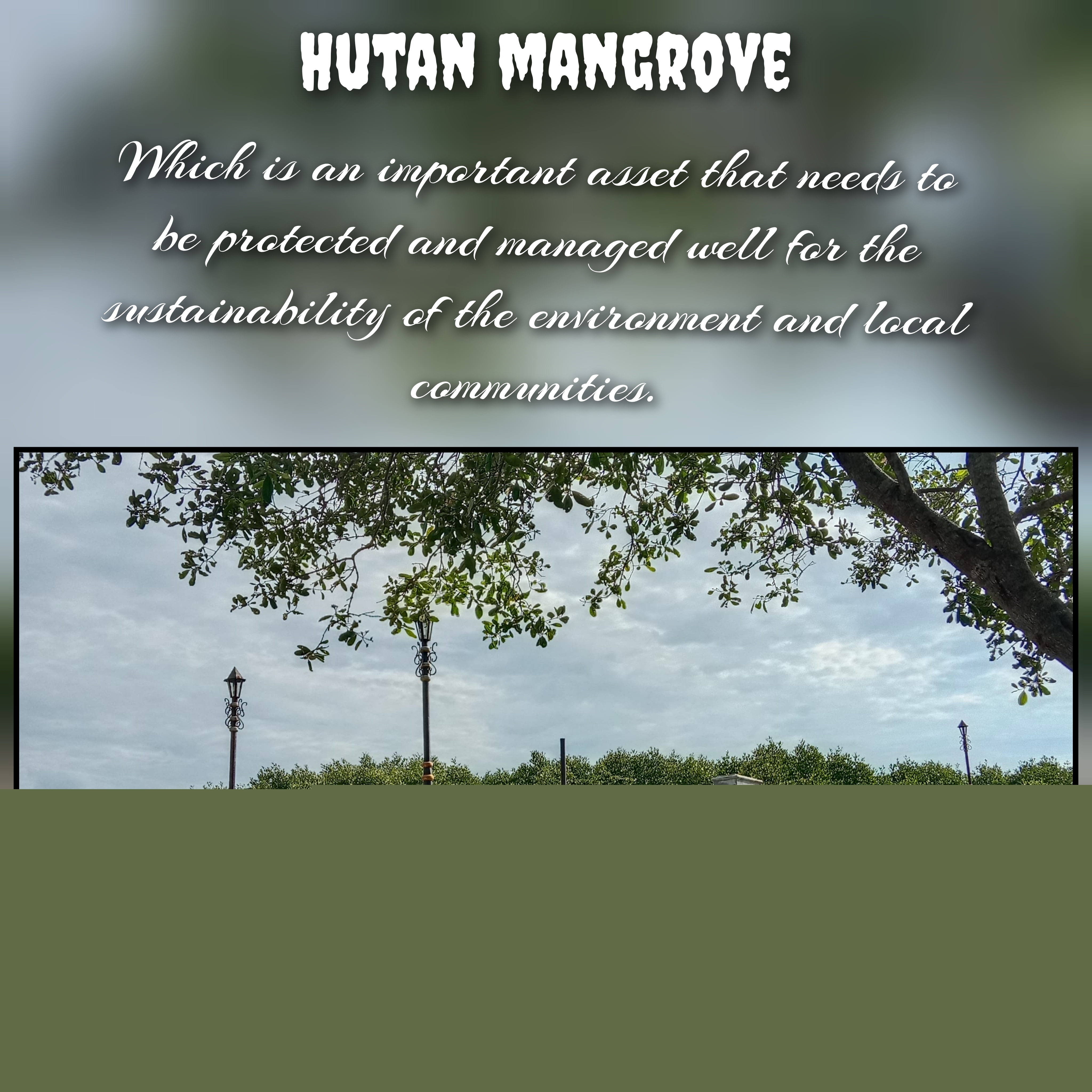 Langsa City Mangrove Forest: "an important ecosystem that needs to be protected"