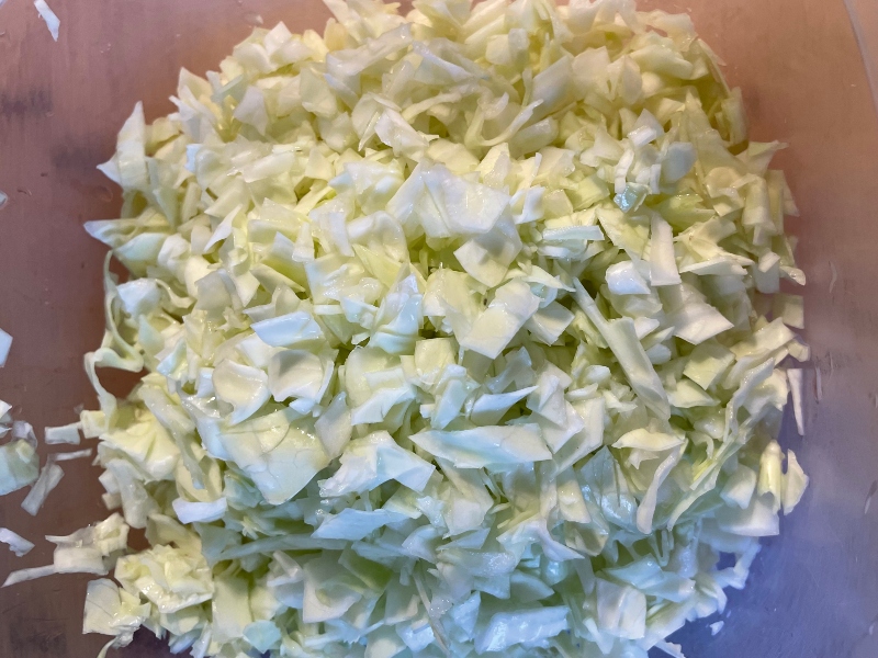 hivegarden-harvesting-cabbage-slaw-1.jpg