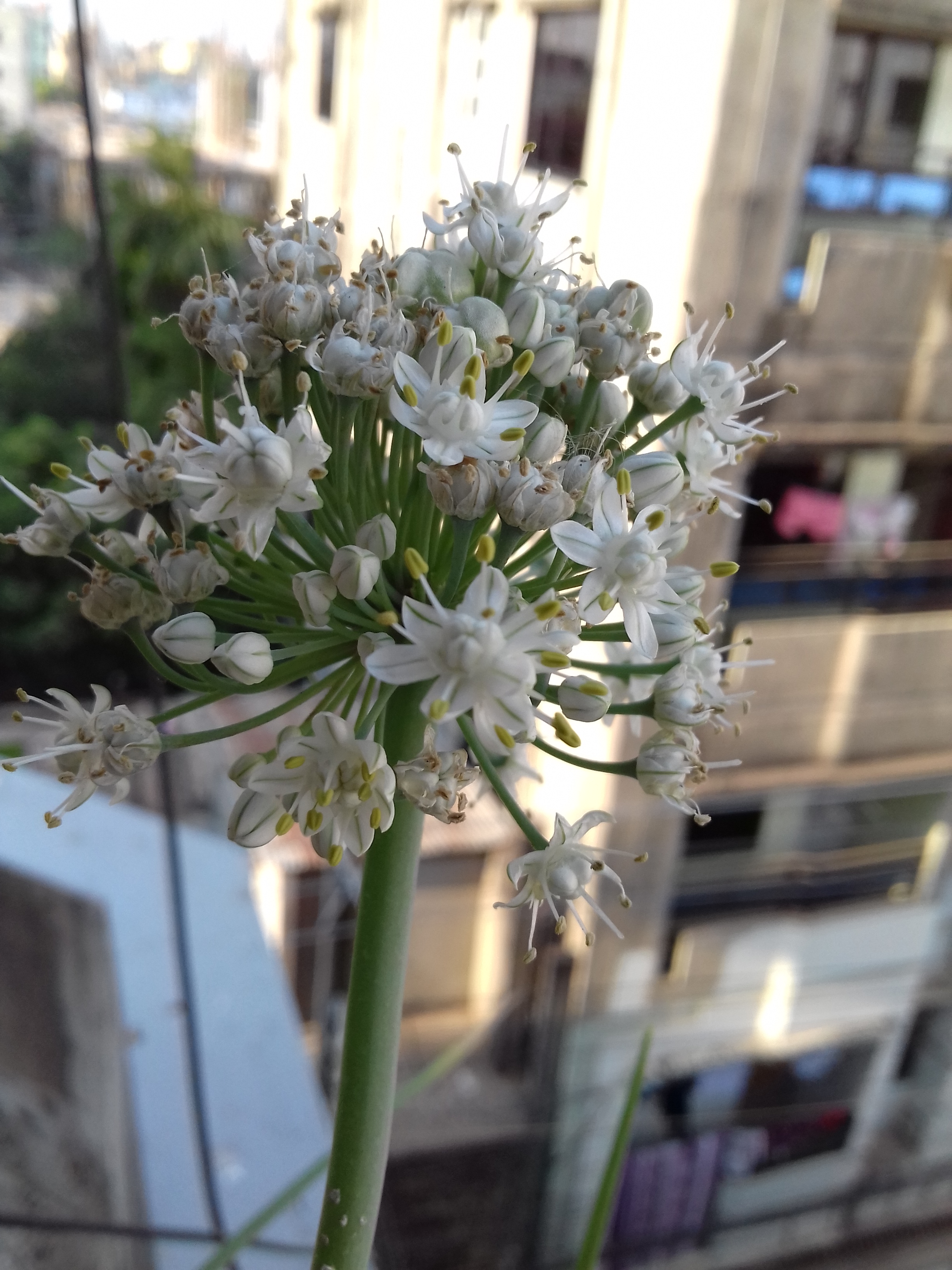 20190423_161837.jpg