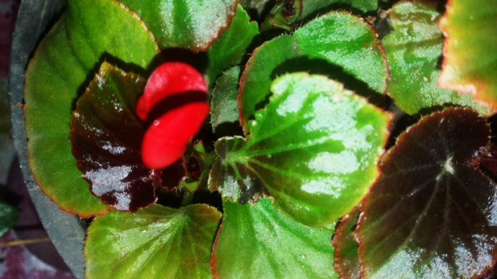 CYMERA_20201113_123557.jpg