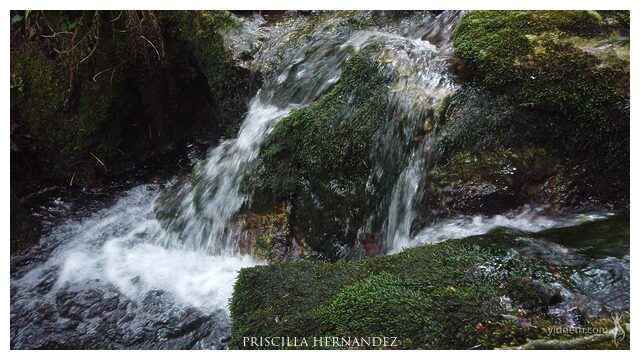 flowing water by Priscilla Hernandez (2).jpg