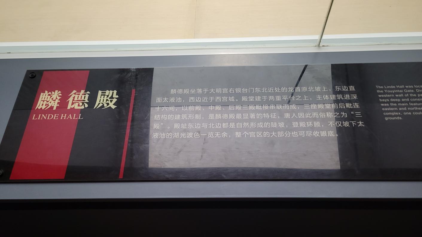 20240823_115911.jpg