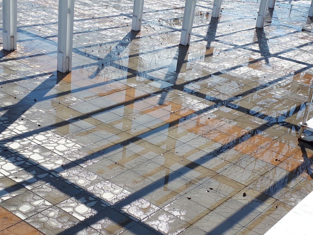 20210327_132540.jpg