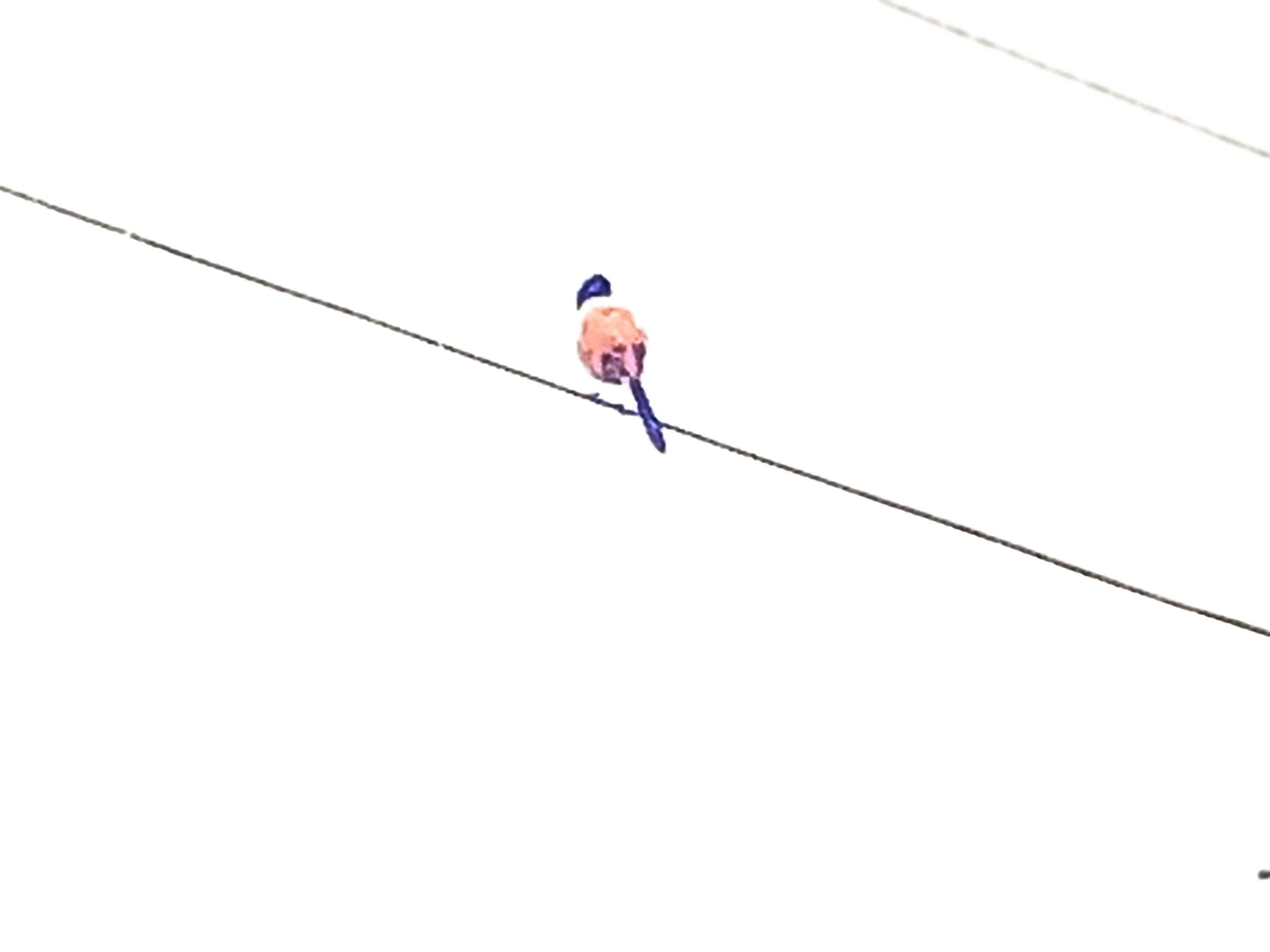 20250321_162216~2.jpg