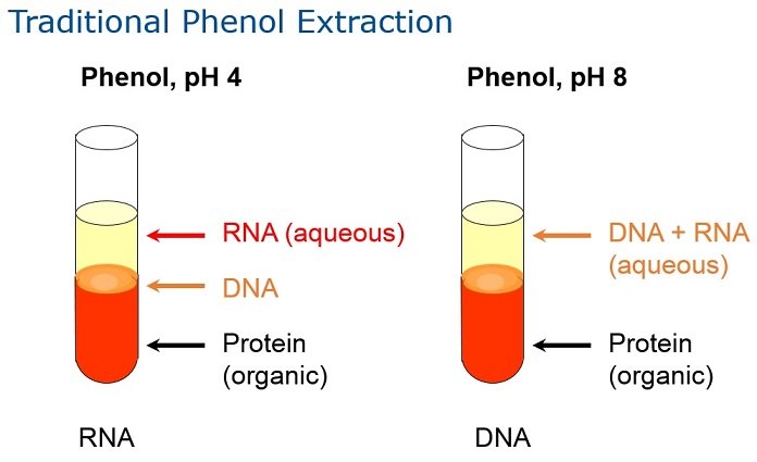 5-Prime-Phase-Lock-Gel-1-SM_f_improf_696x425.jpg