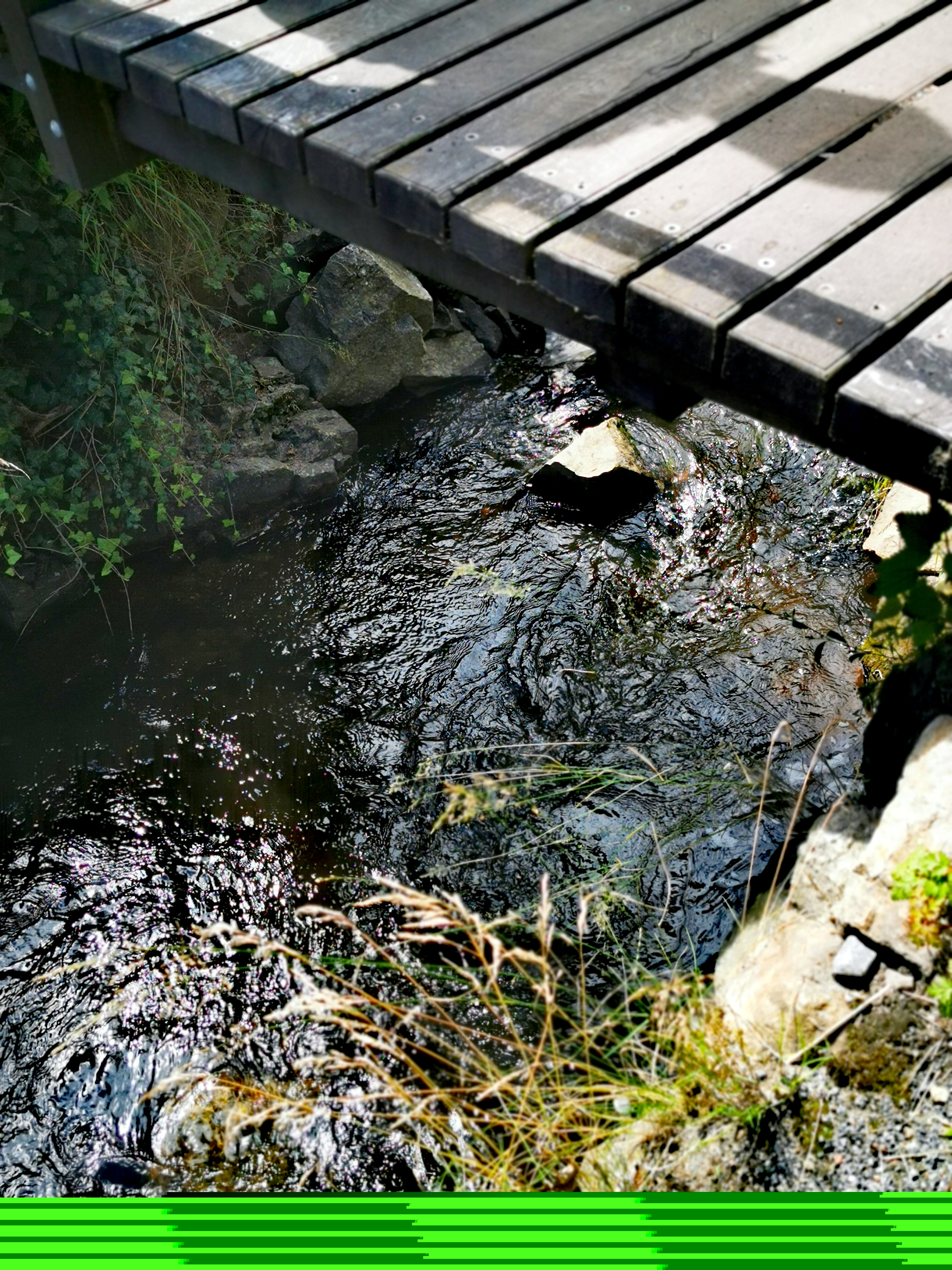 IMG_20240715_135546_edit_1031895629661810.jpg