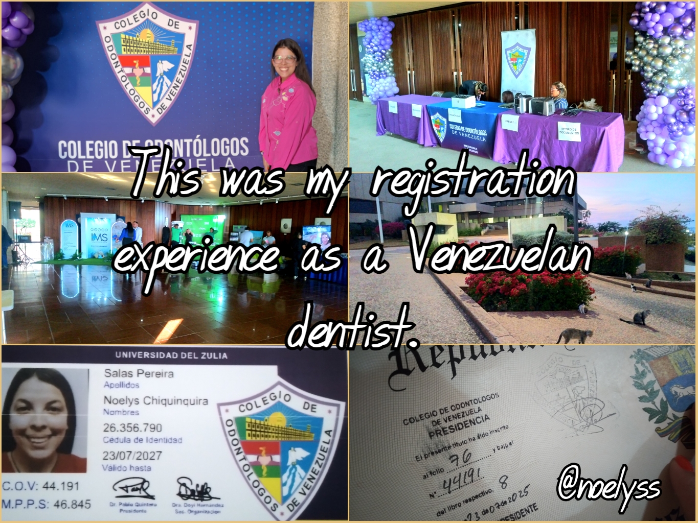 VideoCollagePG_1753366137032.jpg