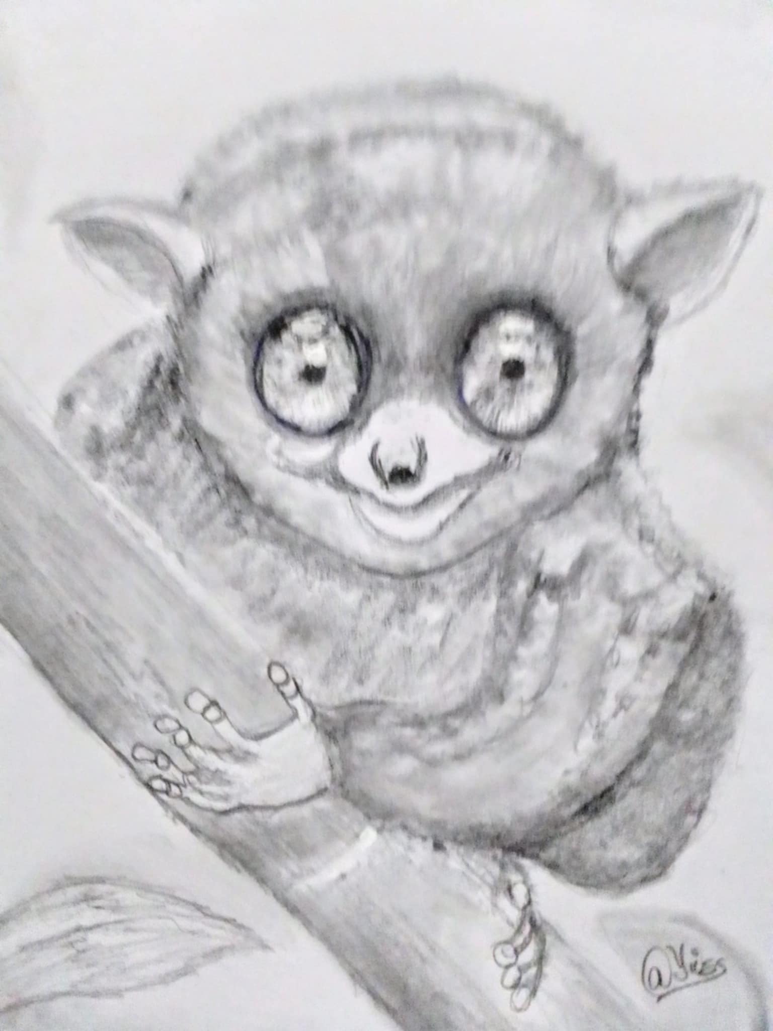 sart5.jpg