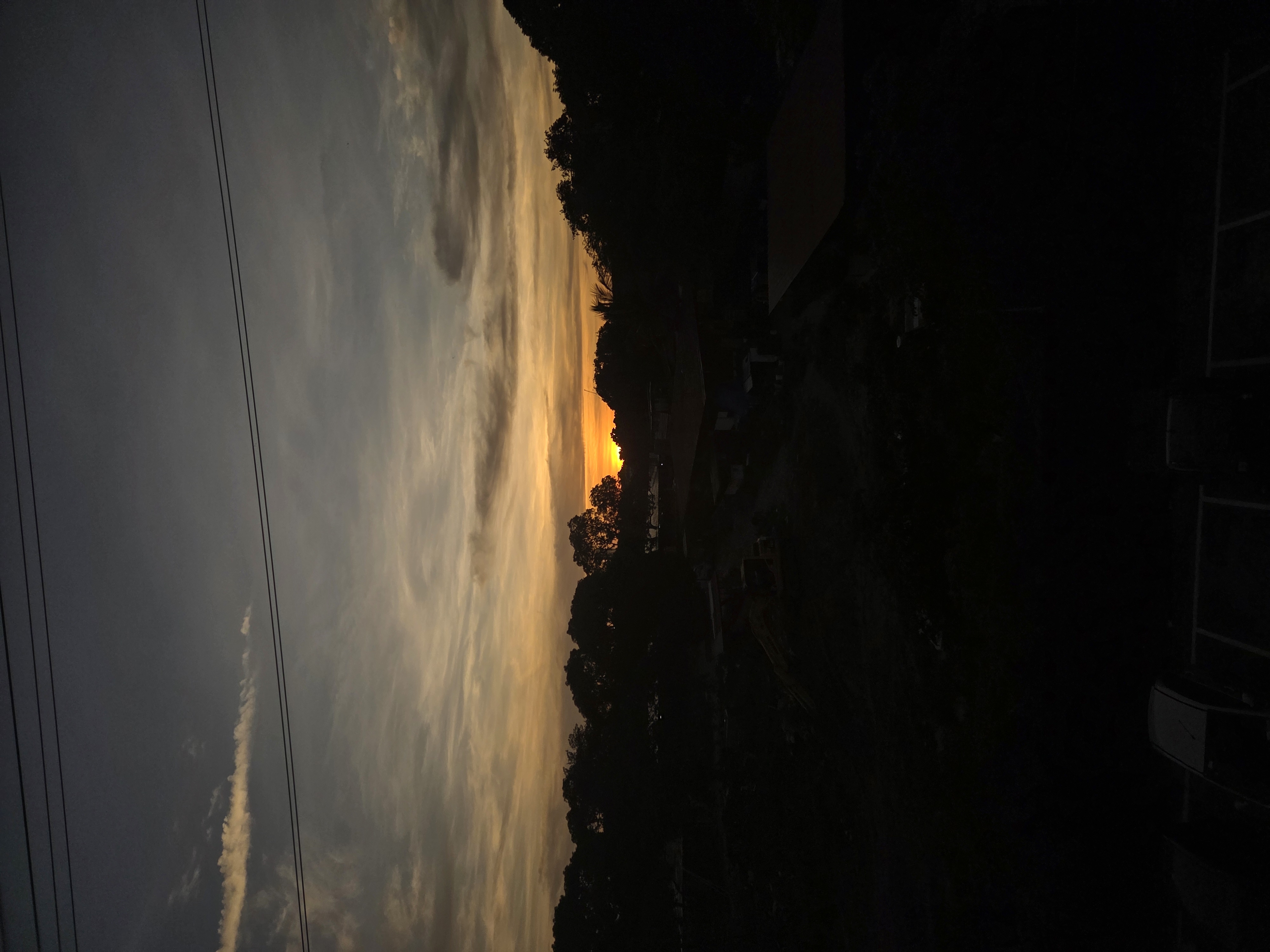 20250803_181655.jpg