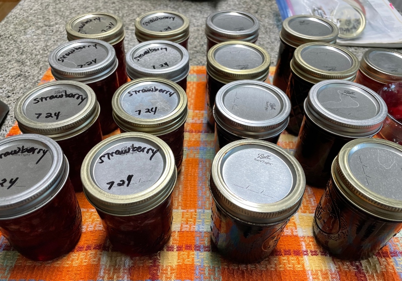 foodiesbeehive-blueberry-jam-.jpg