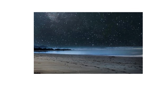 Shore-night.jpg