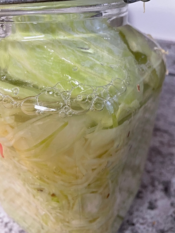 fermenting-1.jpg