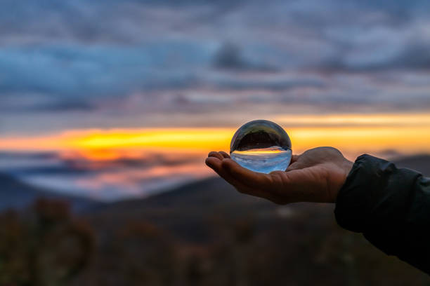 istockphoto-1383955970-612x612.jpg