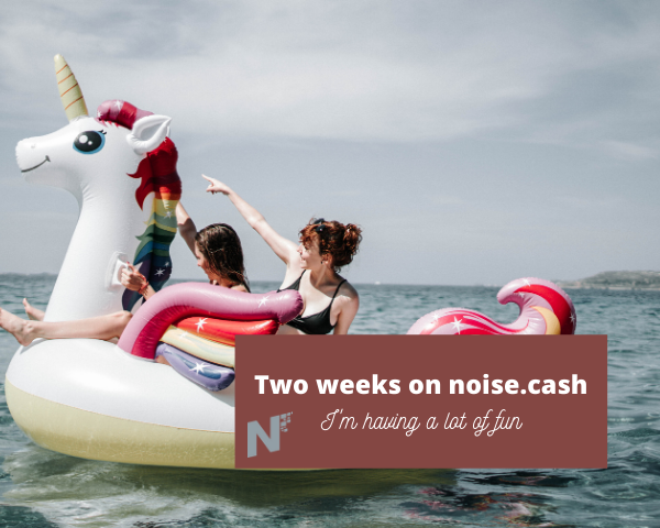 Two weeks on noise.cash .png