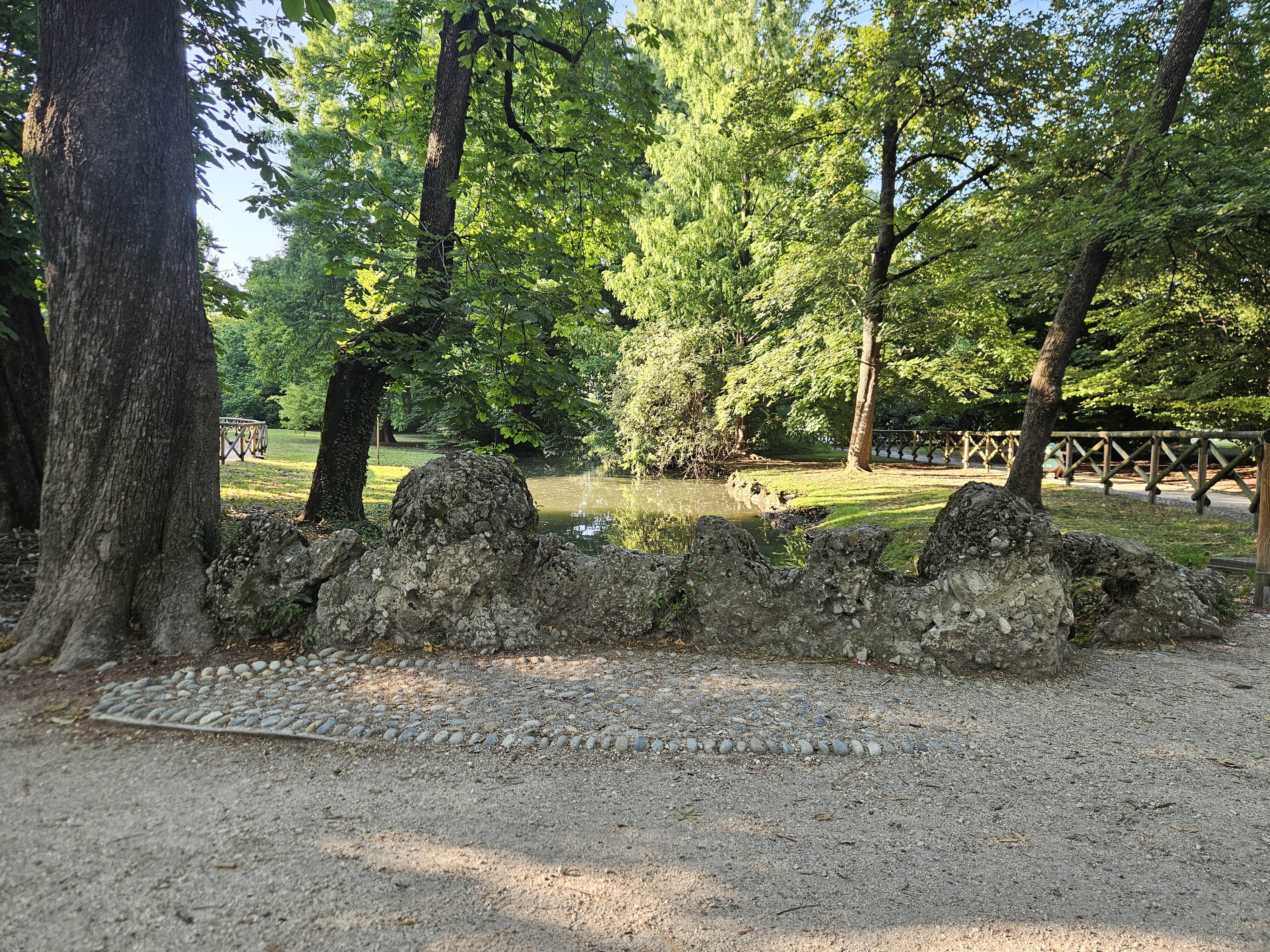20250622_191057.jpg