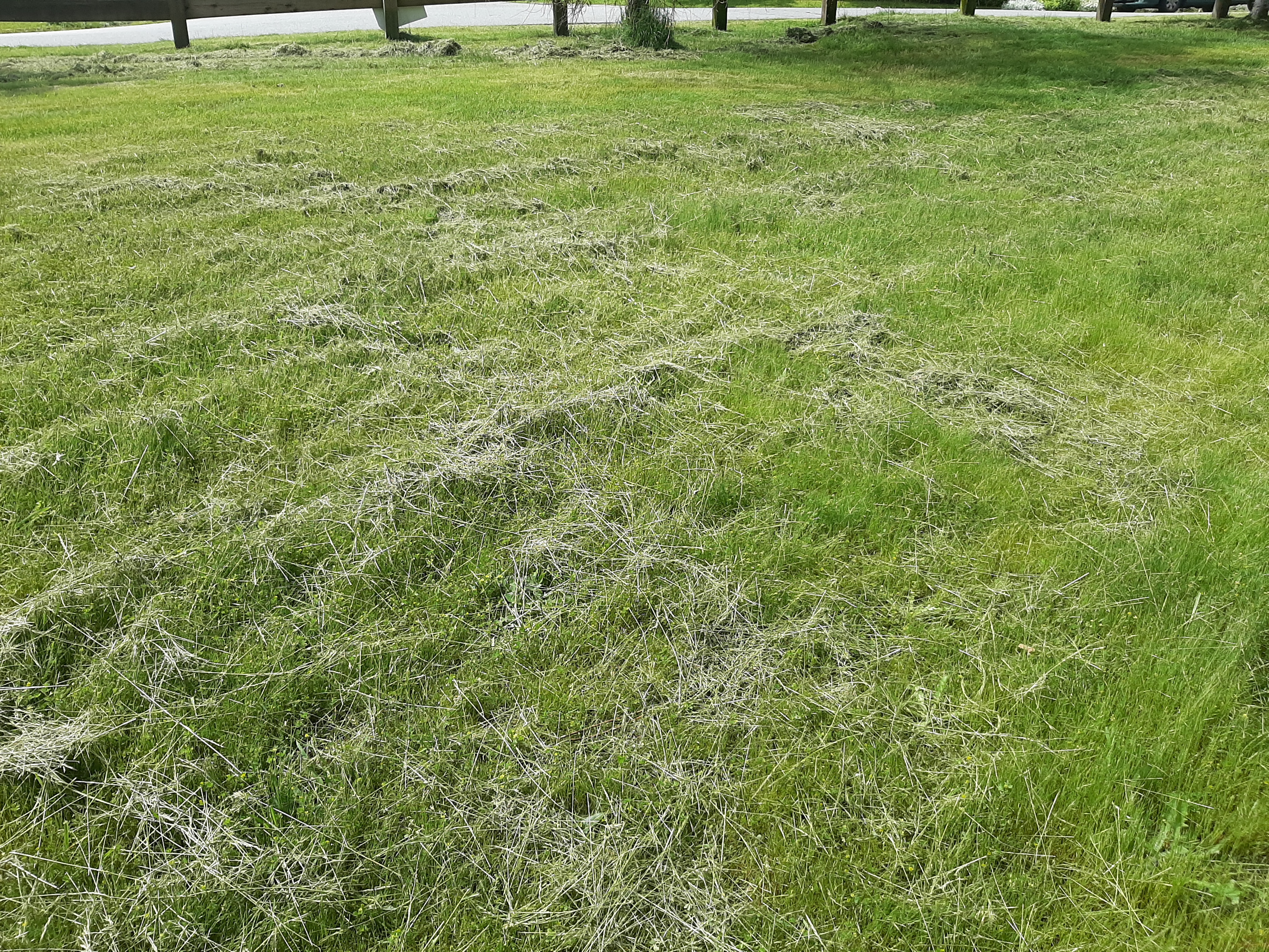 20220610_111308.jpg