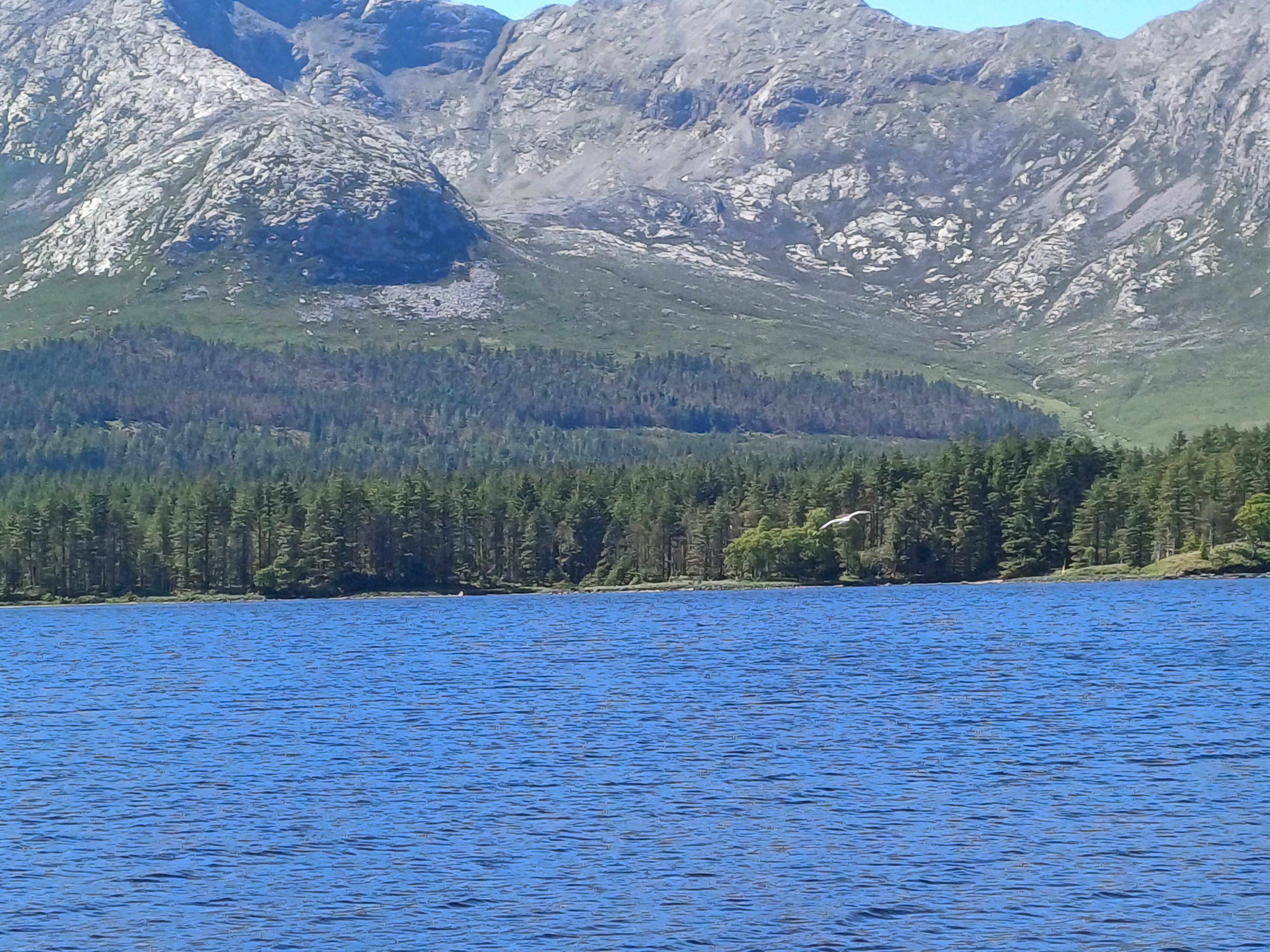 20250518_144218.jpg
