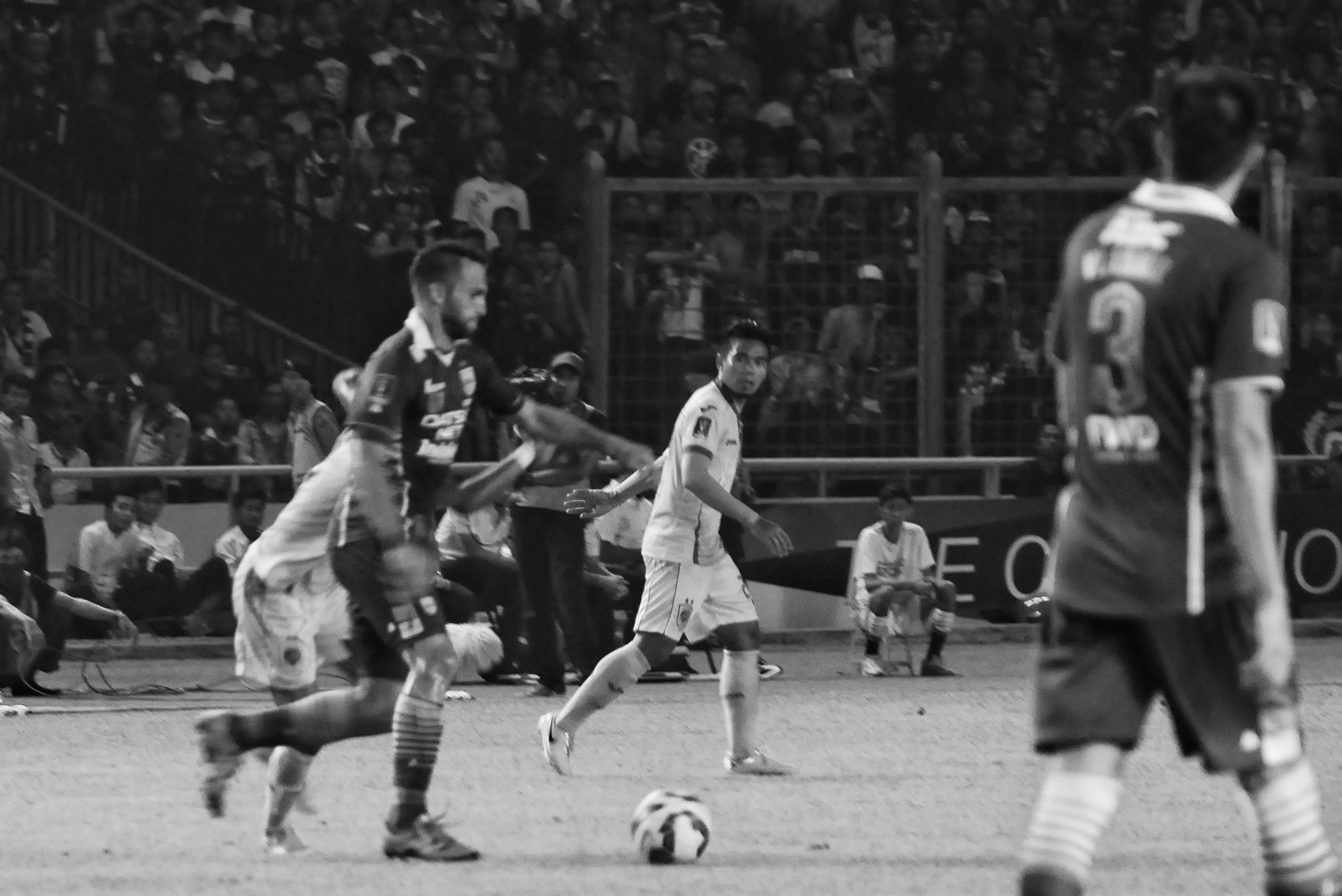 DSC_0420-01.jpeg