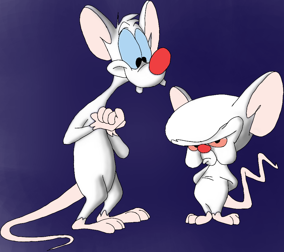 pinky and the brain5.png