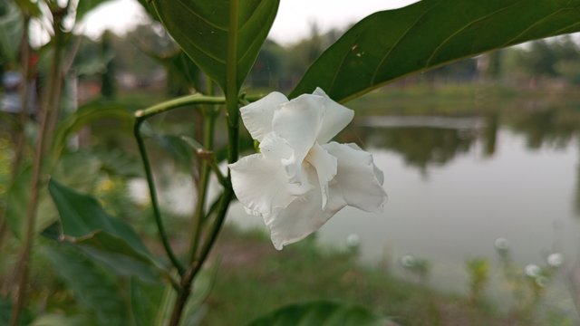 IMG_49562.JPG