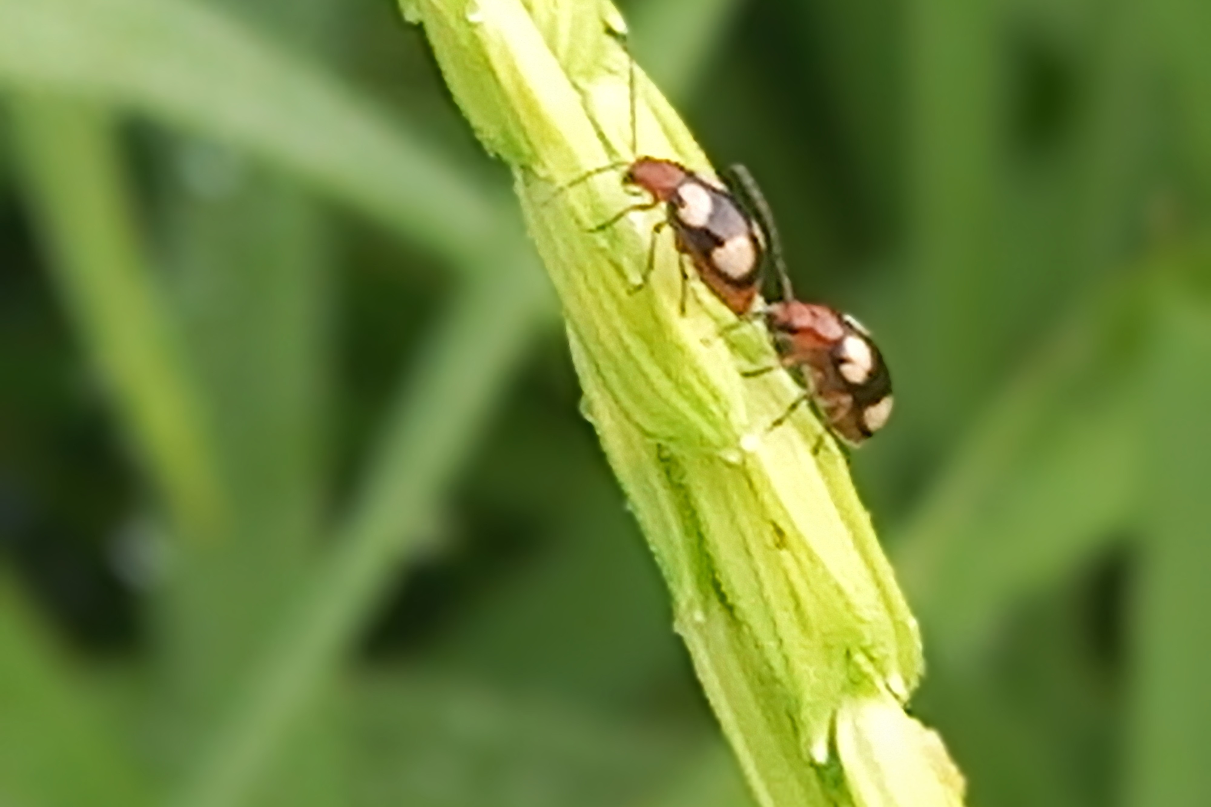 20250416_064745~2.jpg