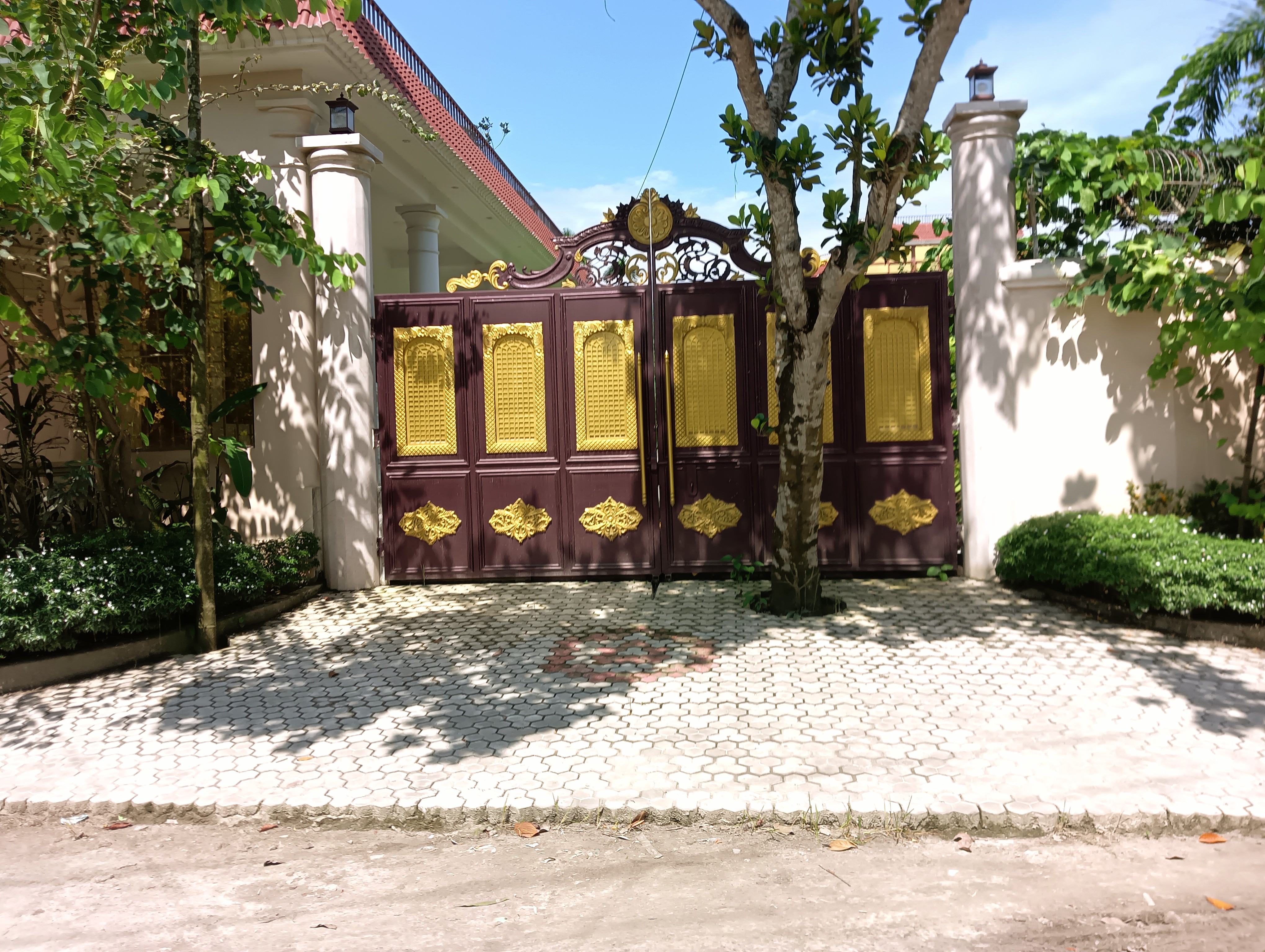 IMG20250822135608.jpg