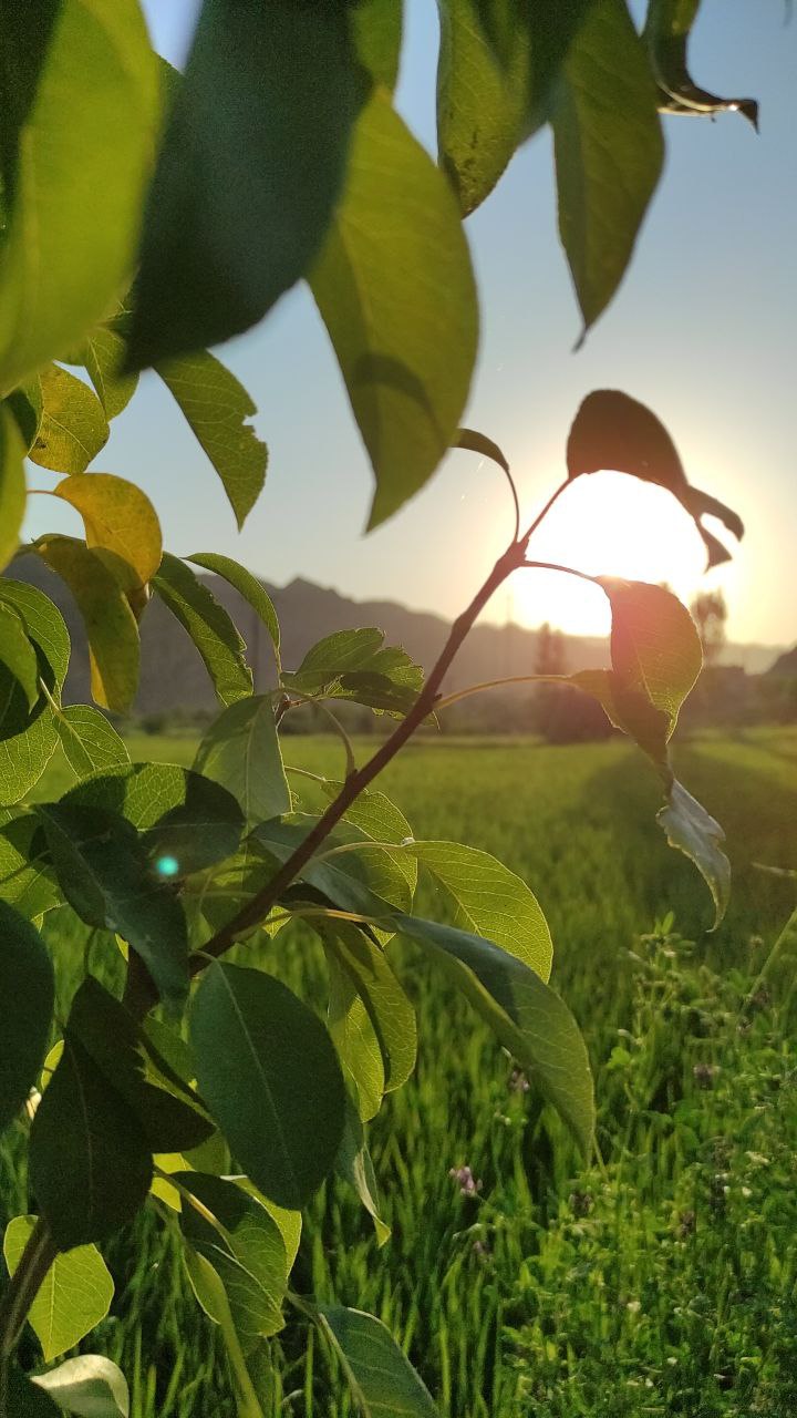 Sunrise
