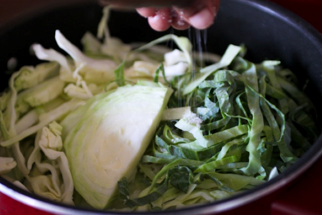 cabbage-0117.jpg