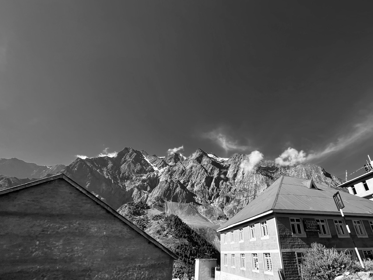 IMG_6718.jpeg