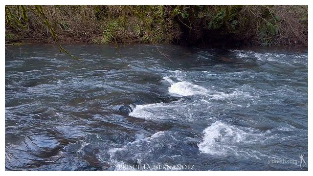 flowing water by Priscilla Hernandez (1).jpg