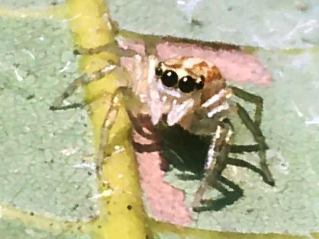 IMG_8908a.png