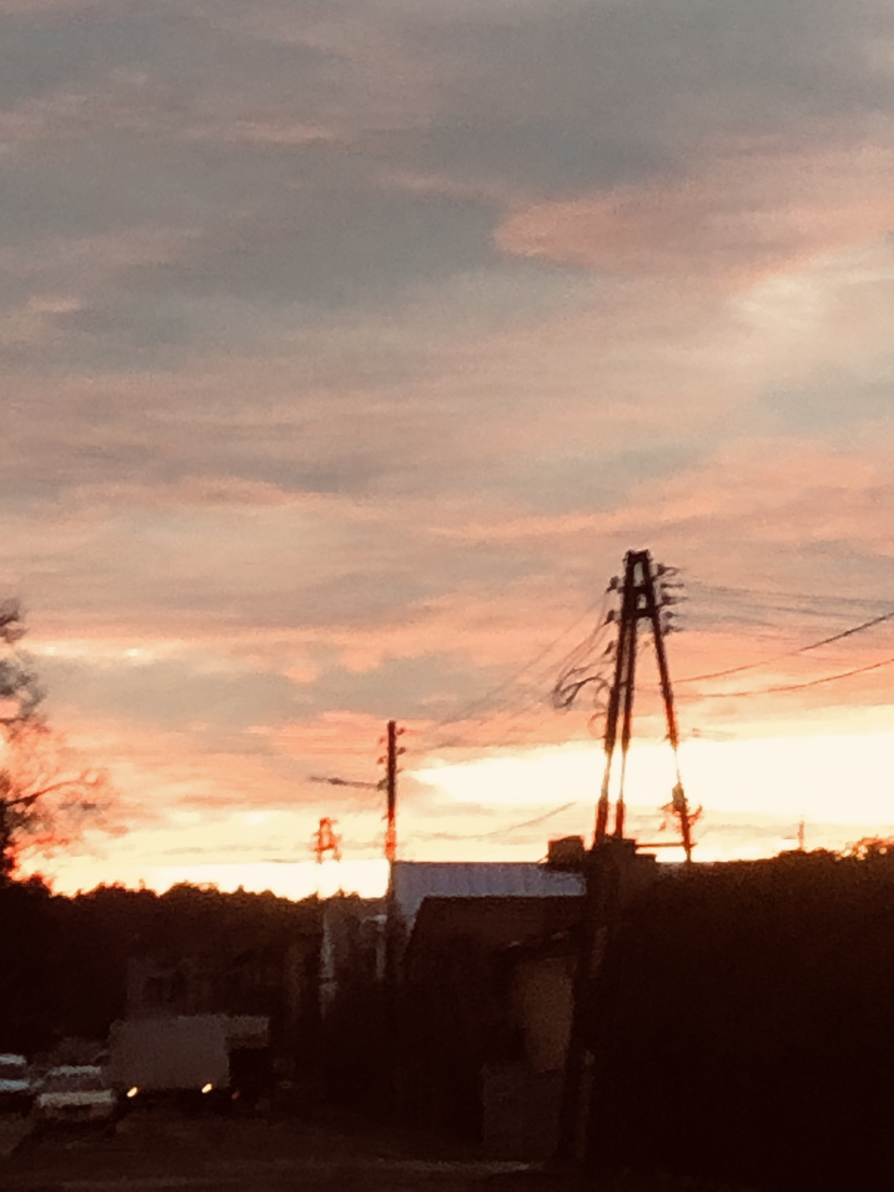 IMG_3796.jpeg