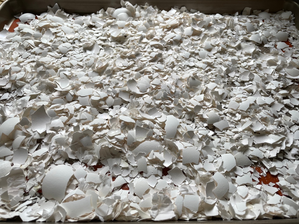 foodiesbeehive-eggshells-1.jpg