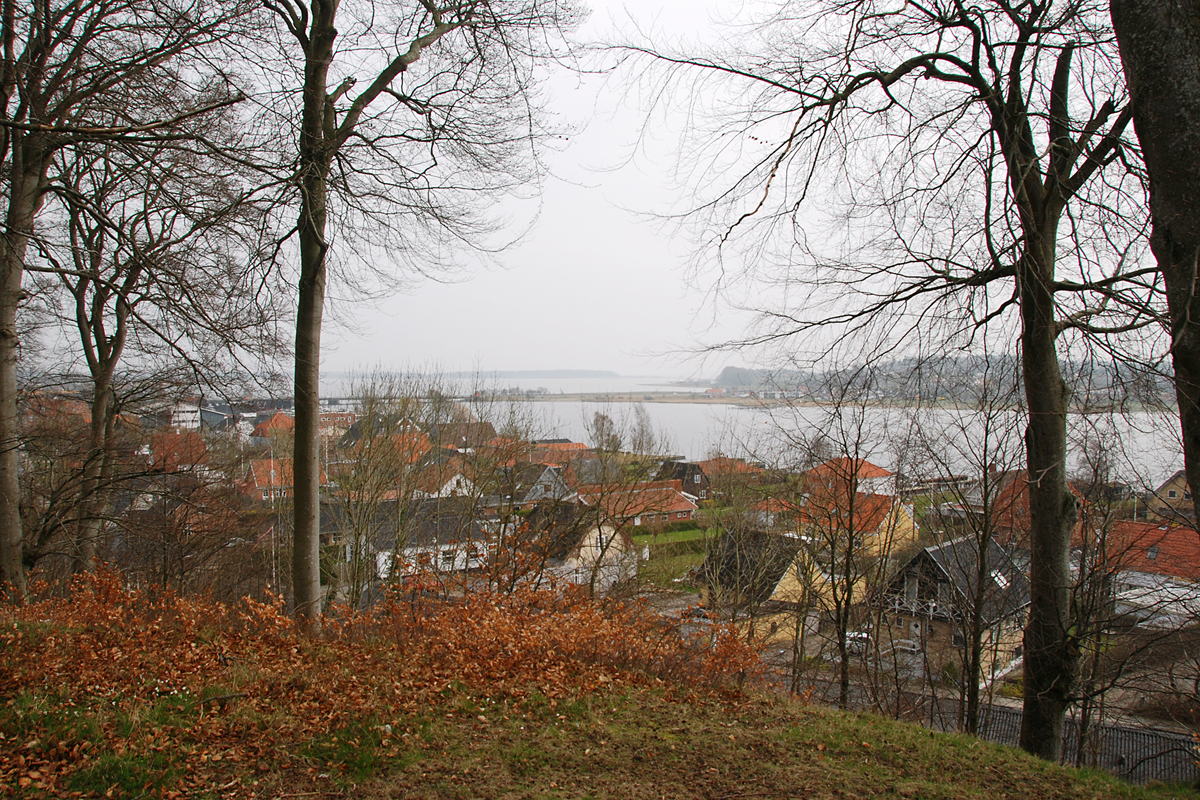 DSC_01.jpg