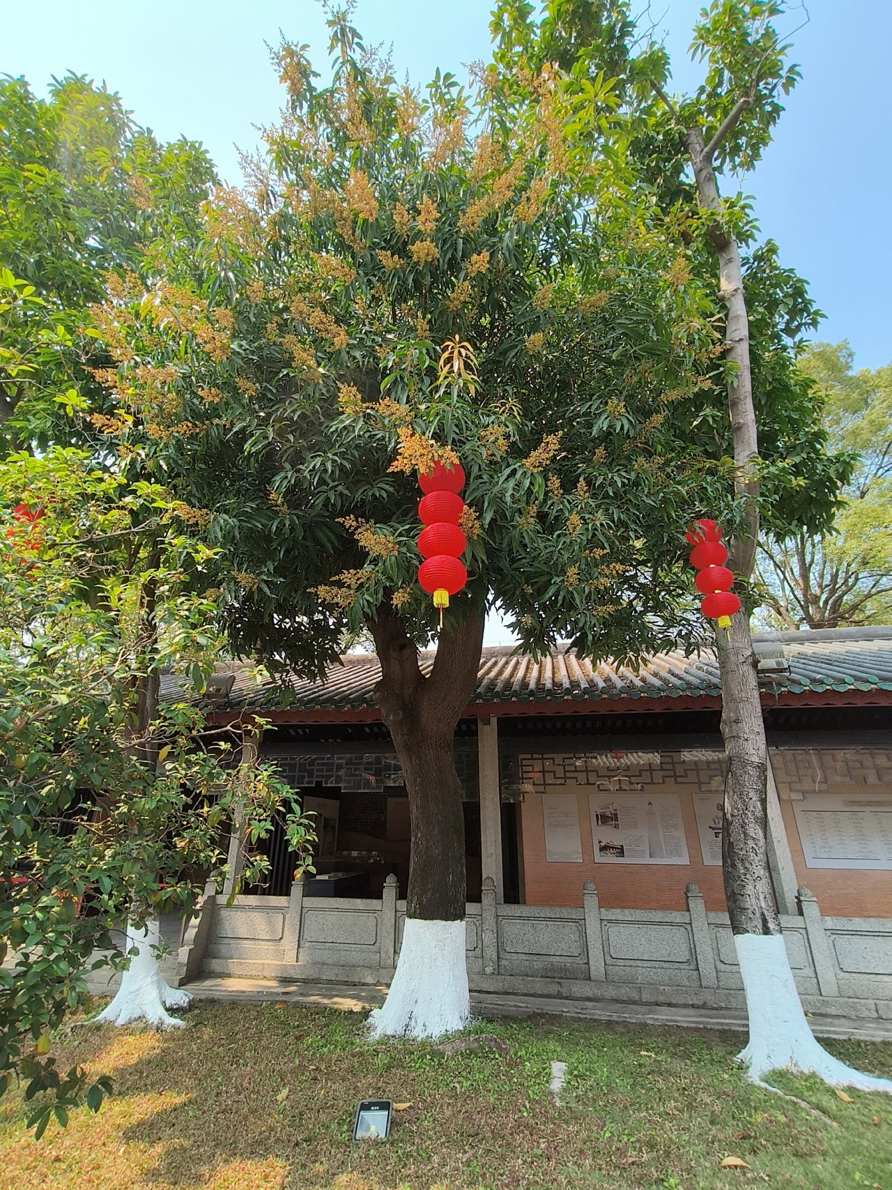 IMG20230302115124.jpg