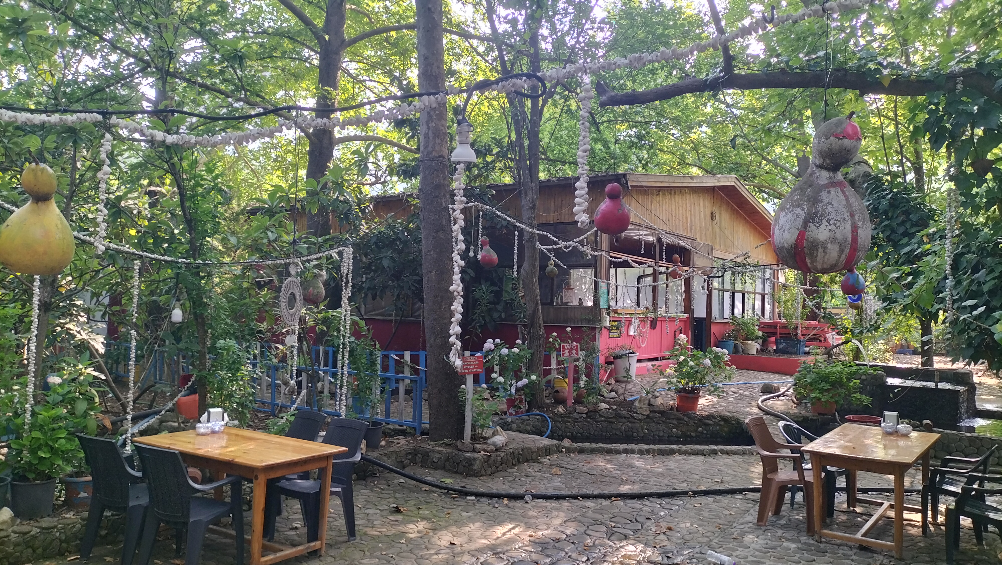 IMG20250614171408.jpg