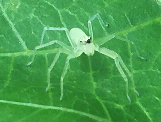IMG_5656a.png